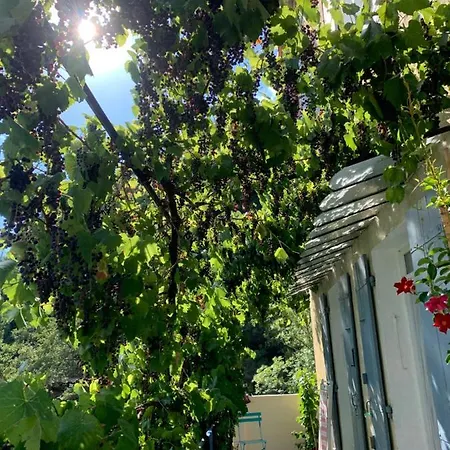 Bed & Breakfast Petit Coin De Paradis *